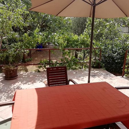 Apartments Mia ستاريغغاد باكلينتسا المظهر الخارجي الصورة